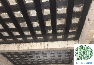 凤冈厂房碳纤维加固